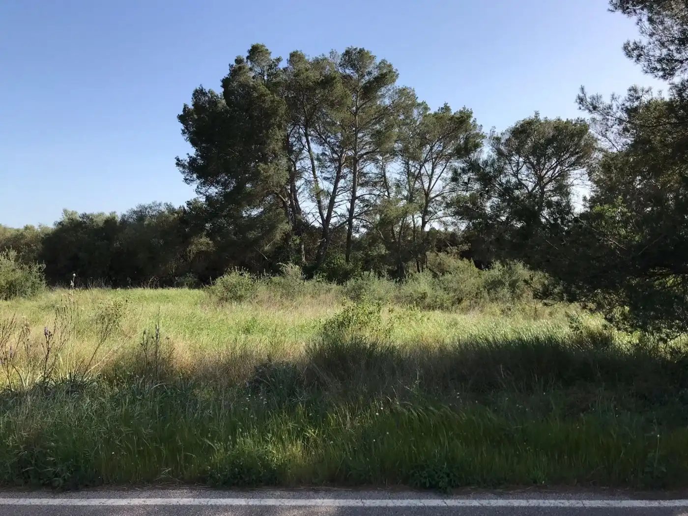 Terrenys i solars en venda a Algaida, imagen 10