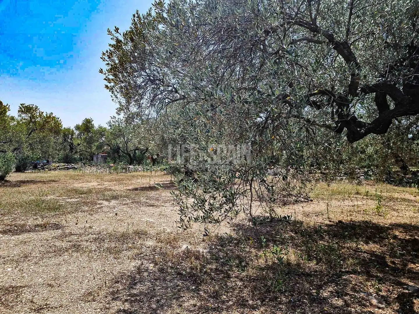 Maison rustique à vendre à Roquetes, imagen 10