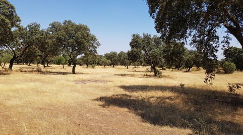 Foto 2 von Country house zum Verkauf in Villanueva del Duque, Córdoba