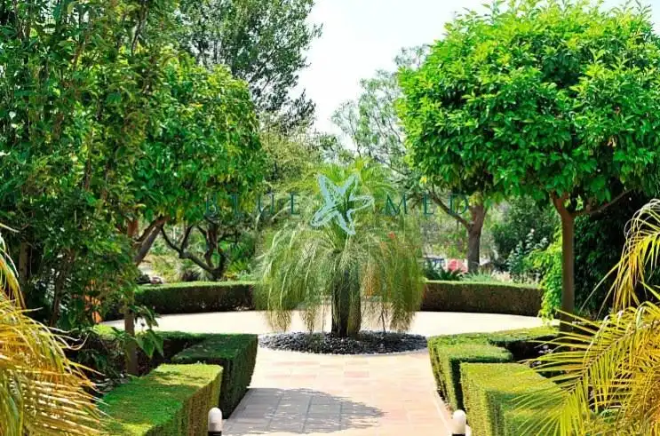 Chalet con terraza en venta en Calle de la Ribera SN, imagen 5