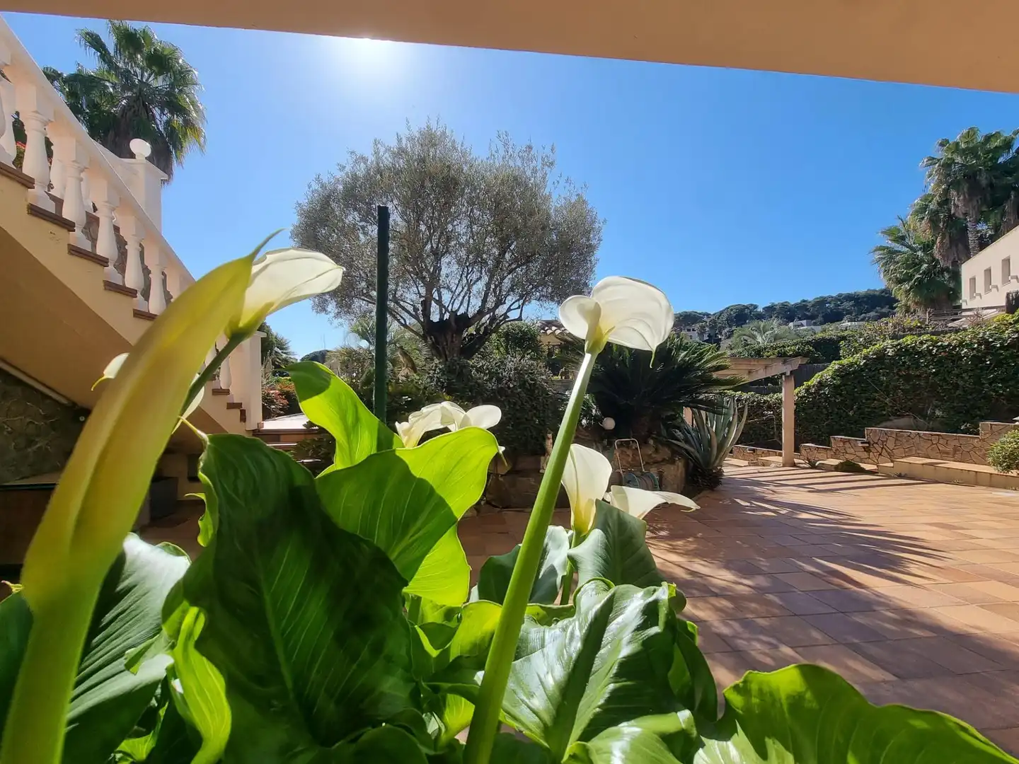 Villa mit Terrasse zum Verkauf in Santa Cristina - Sant Francesc, imagen 29