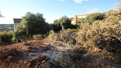 Foto 3 de Casa o xalet en venda a Encinas, Valdeaveruelo, Guadalajara