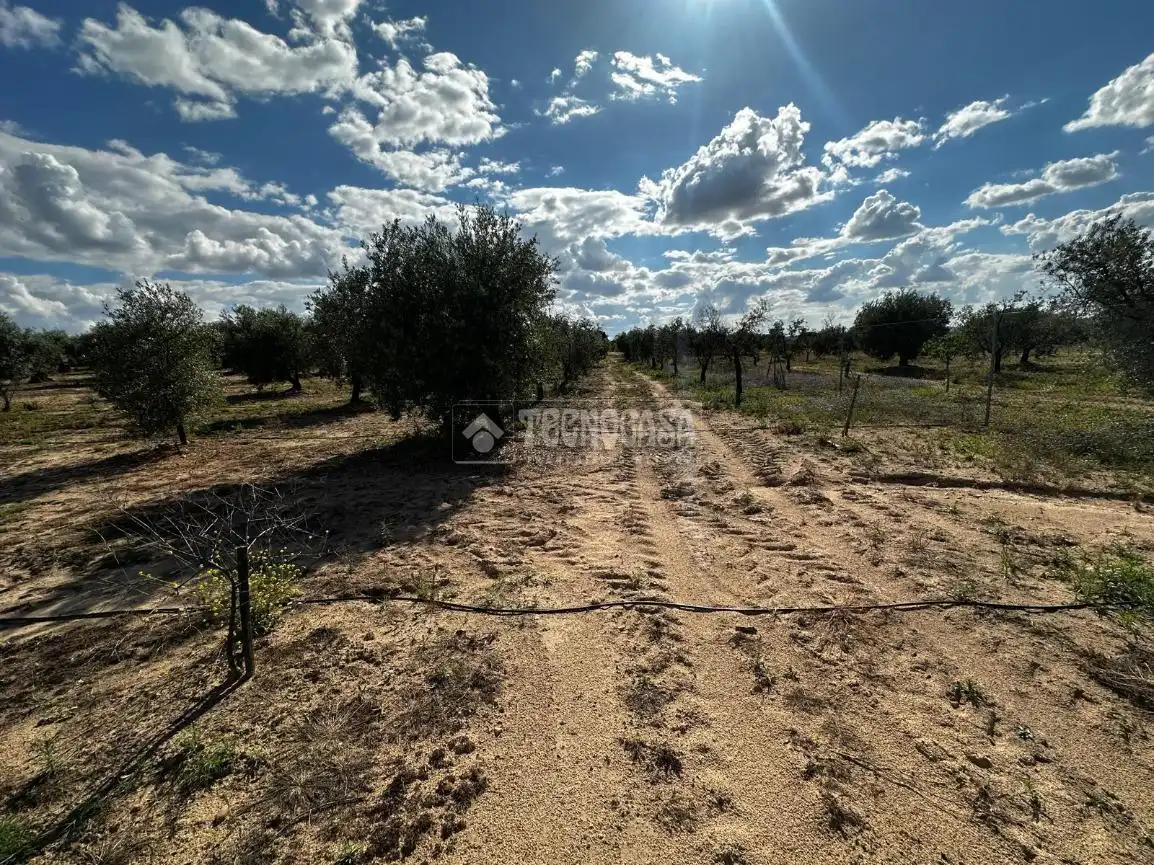 Land for sale in Guareña