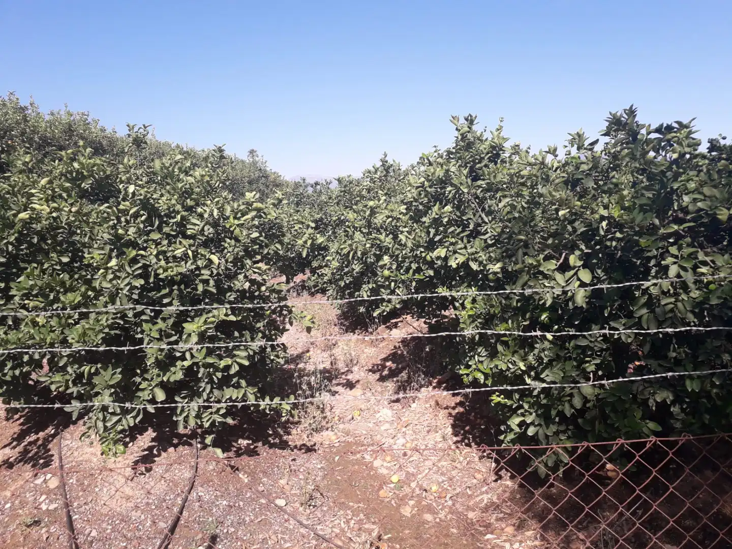Finca rústica en venda en Cártama amb Aire condicionat, Jardí privat i Traster