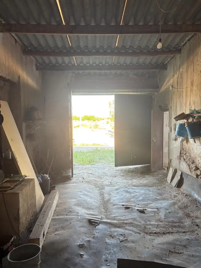 Country house for sale in Jumilla, imagen 29