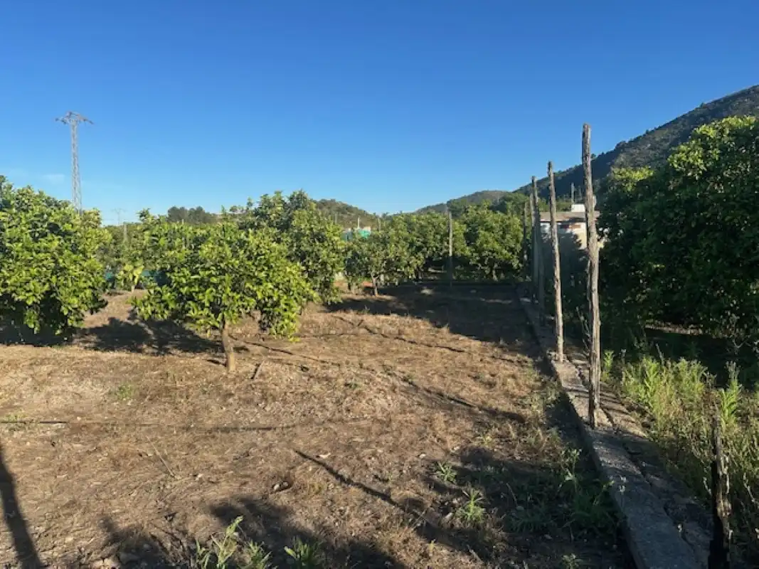 Terreno en venta en Xeresa