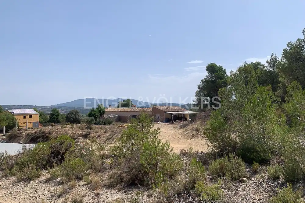 Lands and plots for sale in Requena, imagen 20