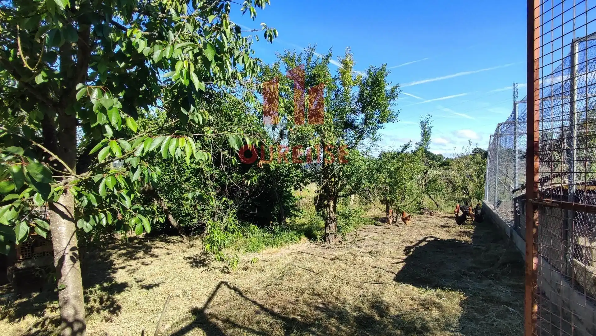 Country homes for sale in San Cibrao das Viñas  with Storage room