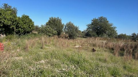 Foto 4 de Casa o chalet en venta en Polígono del Aeropuerto, Manises