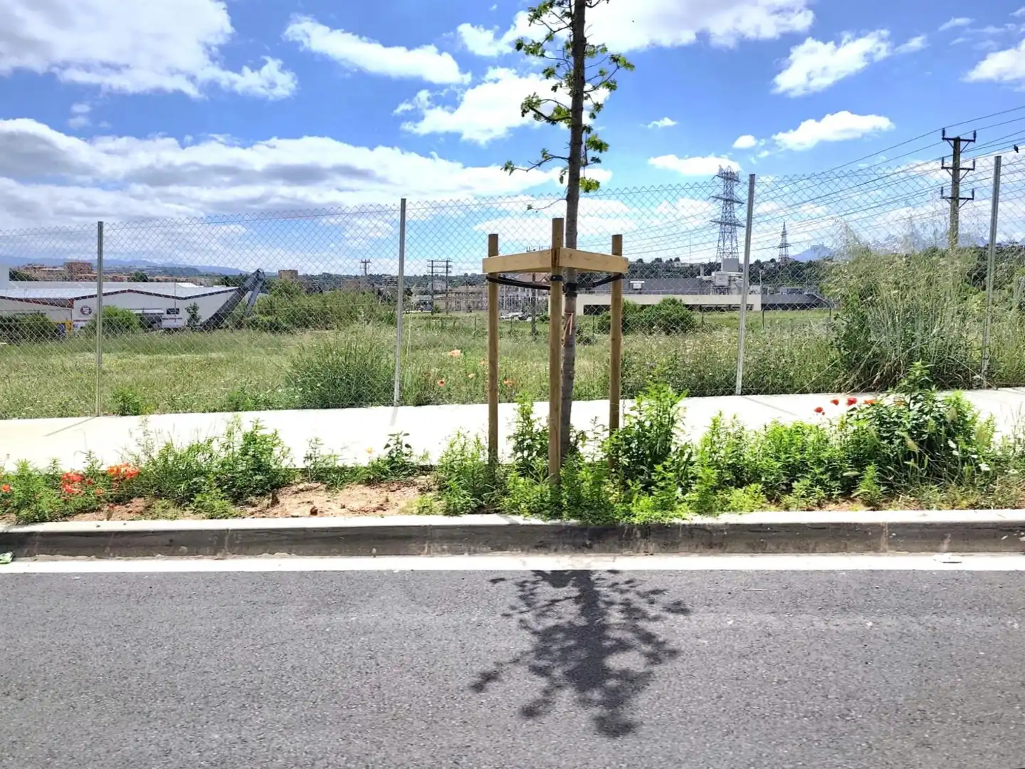 Industriegrundstück zum Verkauf in Congost - Santa Caterina, imagen 33