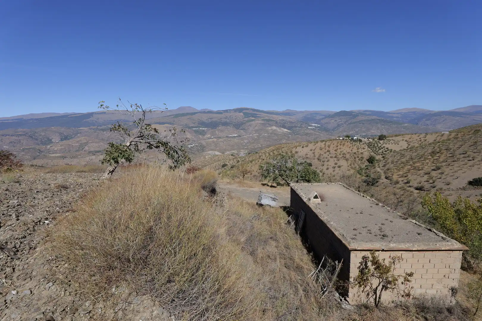 Finca rústica en venta en Cádiar