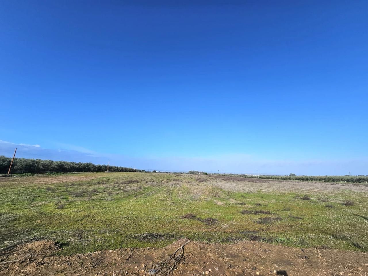 Land for sale in Maria Auxiliadora - Barriada de Llera