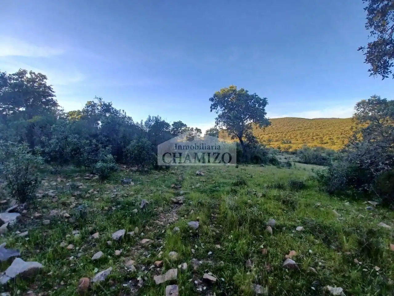 Grundstücke zum Verkauf in Peraleda del Zaucejo