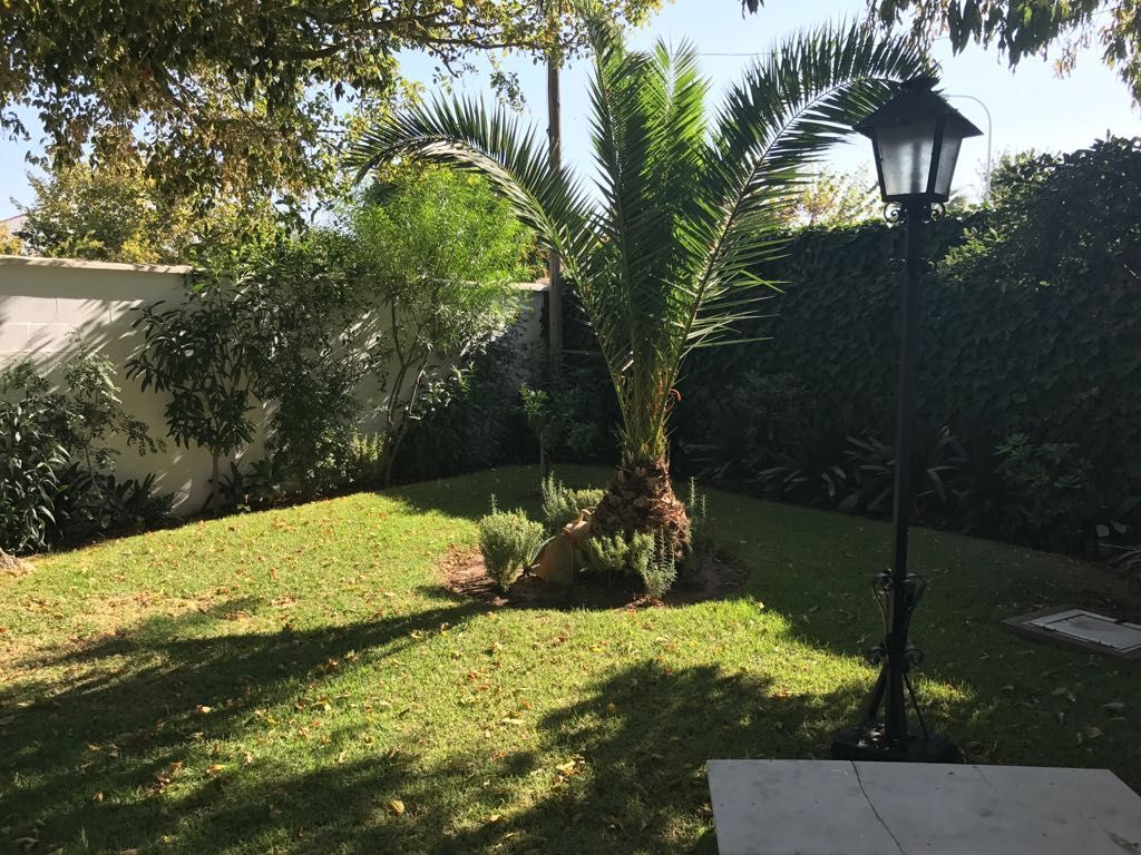 Garden of House or chalet for sale in Rota  with Private garden, Terrace and Storage room