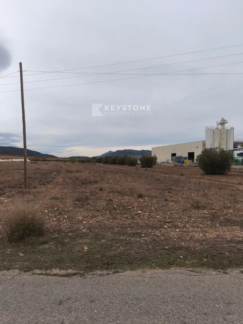 Rural land for sale in Algueña