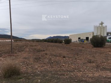 Terreny rústic en venda a Algueña