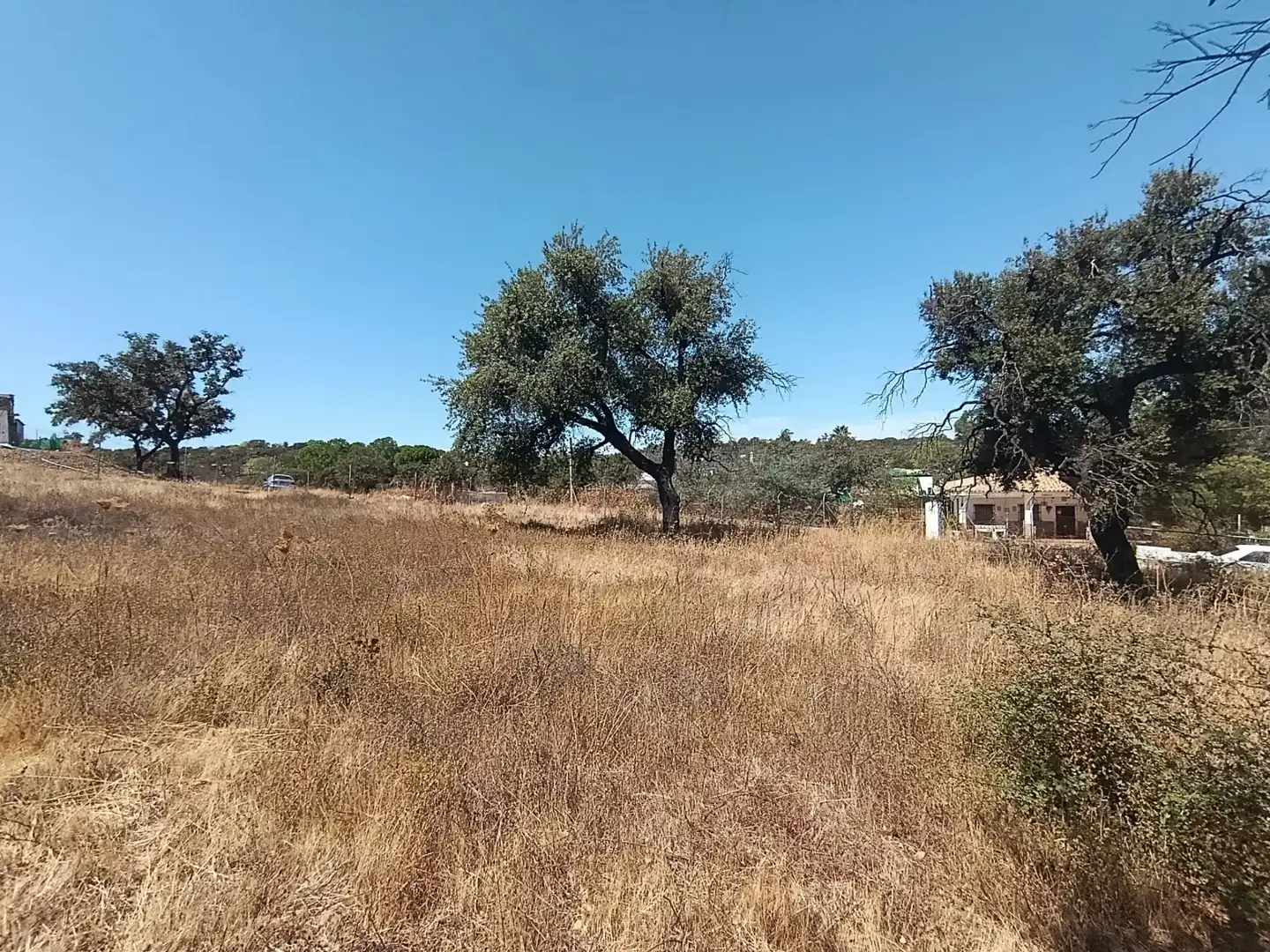 Terreni e lotti in vendita a Castilblanco de los Arroyos, imagen 13