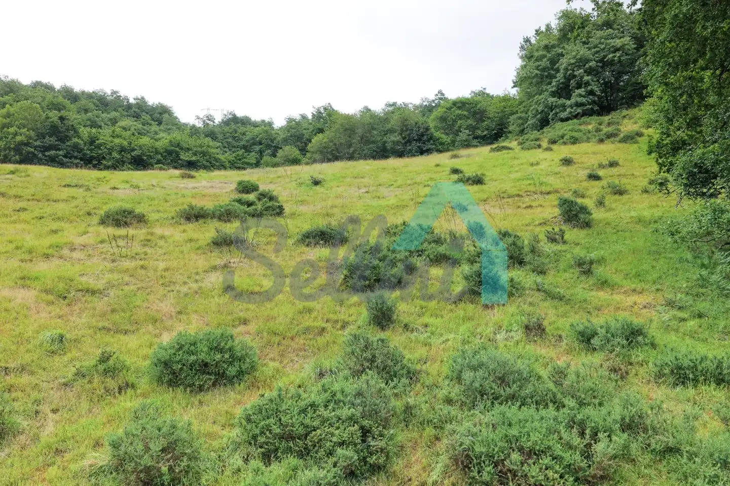 Land for sale in Proaza