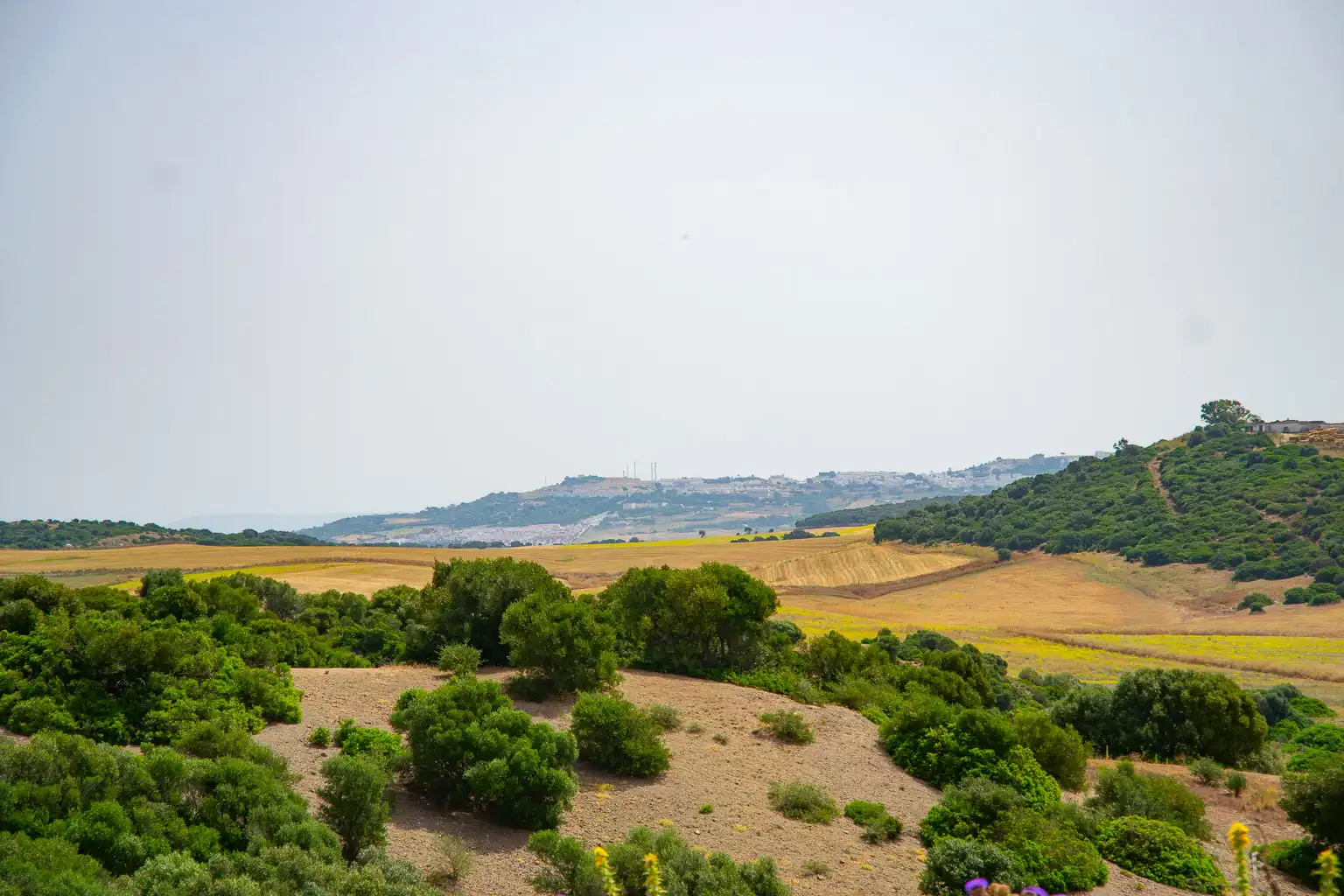 Terreny residencial en venda a Medina Sidonia, imagen 2