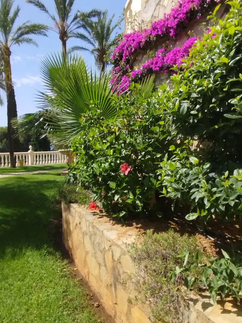Jardí de Residencial en venda en Alcalà de Xivert