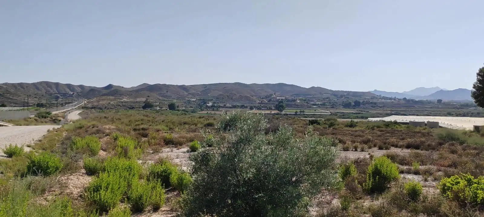 Rustikales Grundstück zum Verkauf in Carretera CAMINO EL RIO, imagen 4