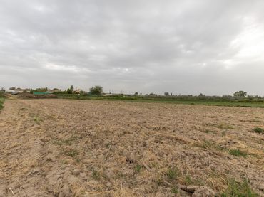 Rural land for sale in Camino DISEMINADOS