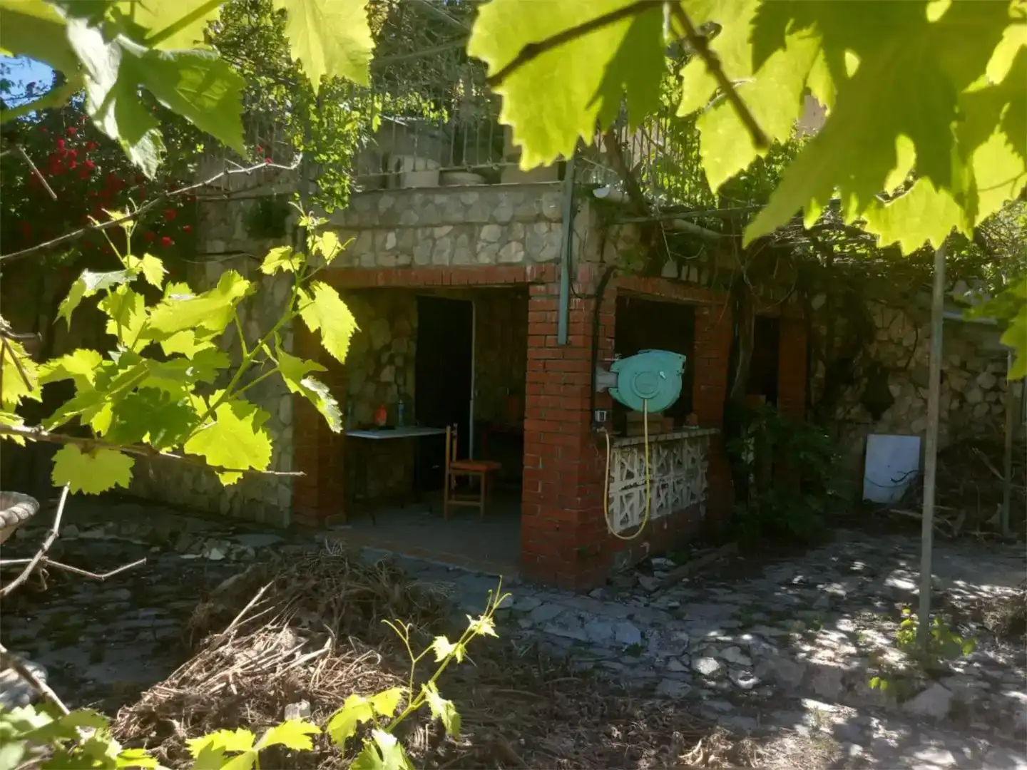 Jardí de Finca rústica en venda en Cervera