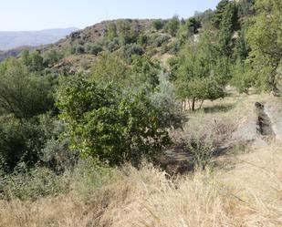 Terreny en venda en Alpujarra de la Sierra