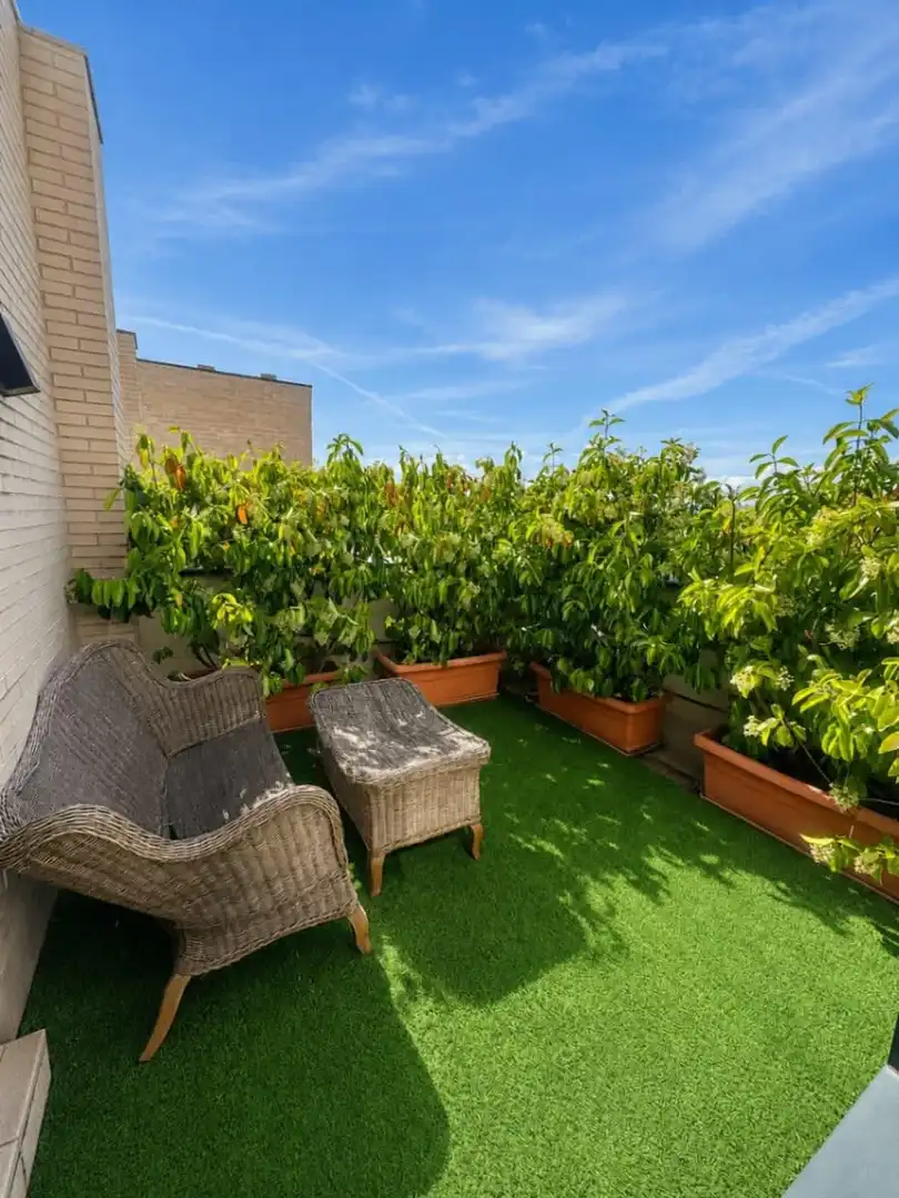 Terraza de Casa o chalet en venta en Madrid con Aire acondicionado, Calefacción y Trastero