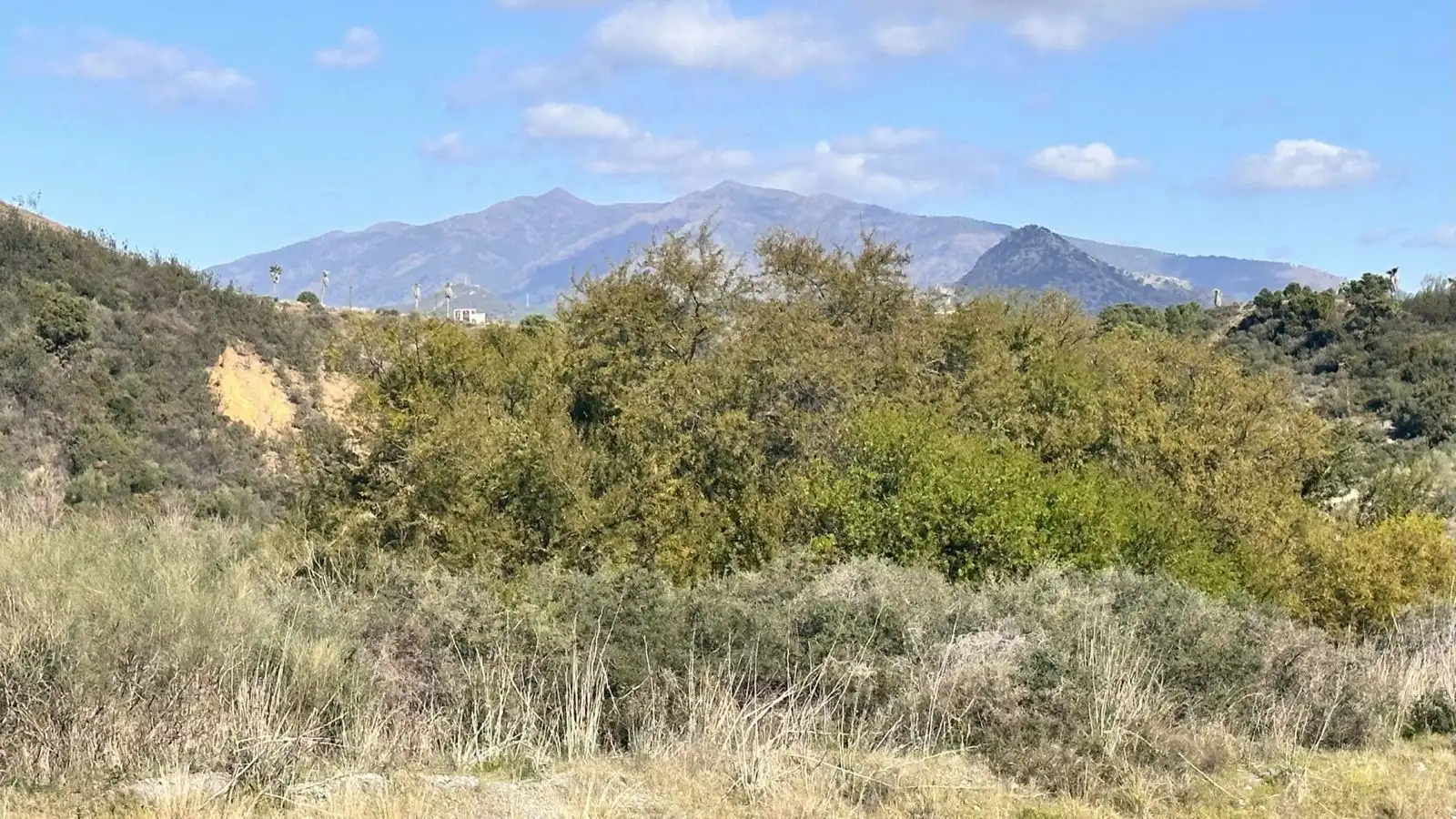 Piso de alquiler en Estepona con Aire acondicionado, Terraza y Amueblado