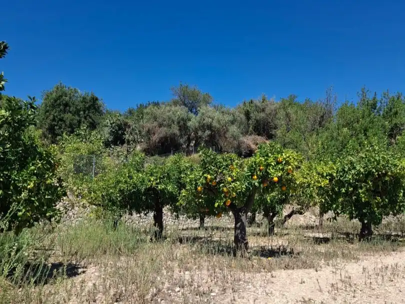 Grundstücke zum Verkauf in Beniardà
