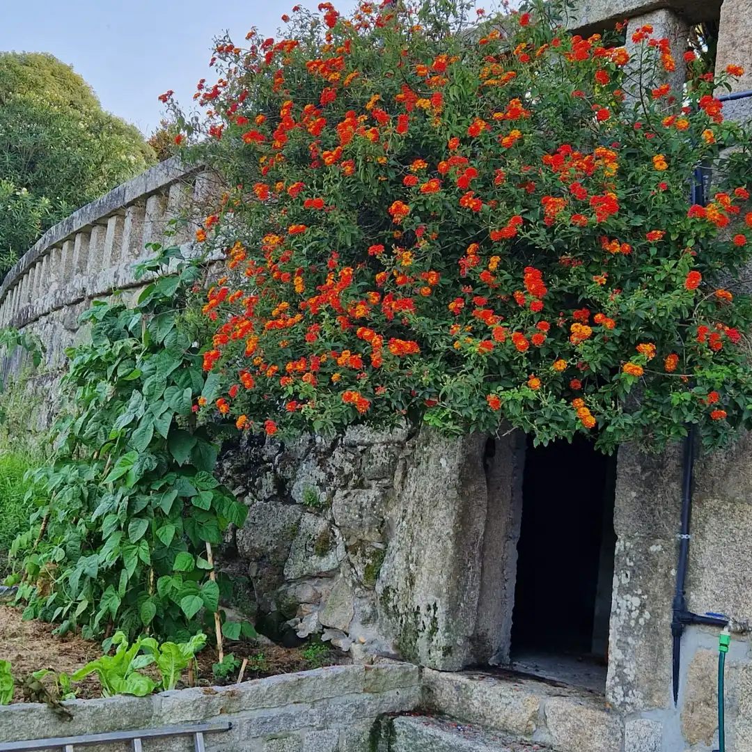 Jardí de Casa o xalet en venda en Gondomar amb Calefacció, Parquet i Terrassa