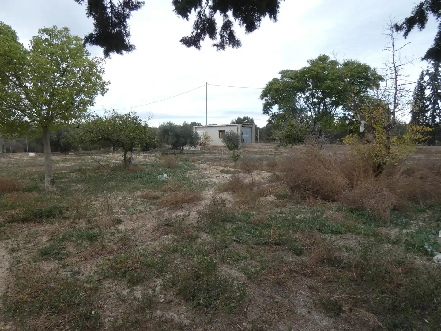 Casa o chalet en venta en Murcia con Aire acondicionado, Jardín privado y Terraza