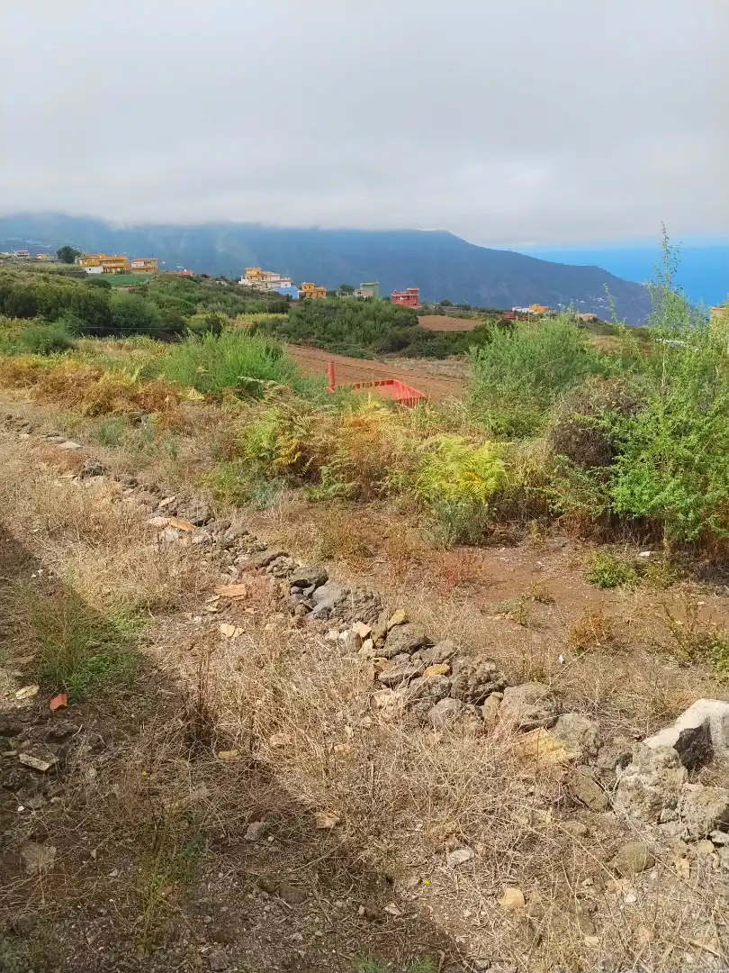 Terreny rústic en venda a La Perdoma - San Antonio - Benijos, imagen 26