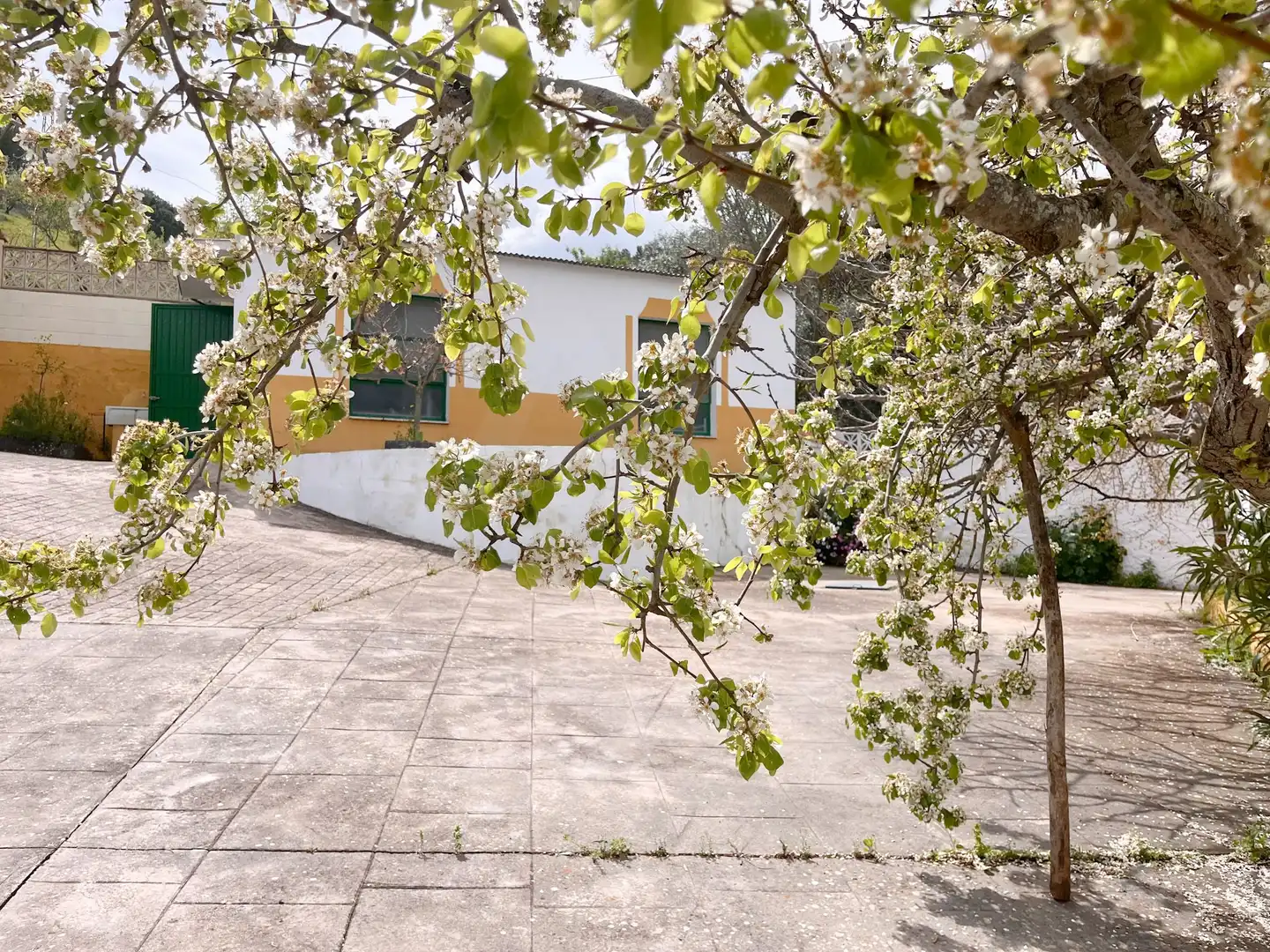 Casa amb piscina en venda a Casabermeja, imagen 33