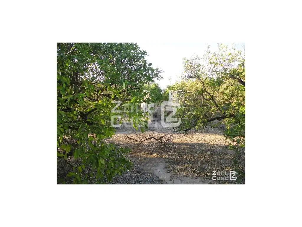 Finca rústica en venda en Benimuslem, Valencia