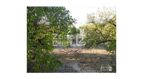 Foto 4 de Finca rústica en venda a Poligono Poligono 3, Benimuslem, Valencia