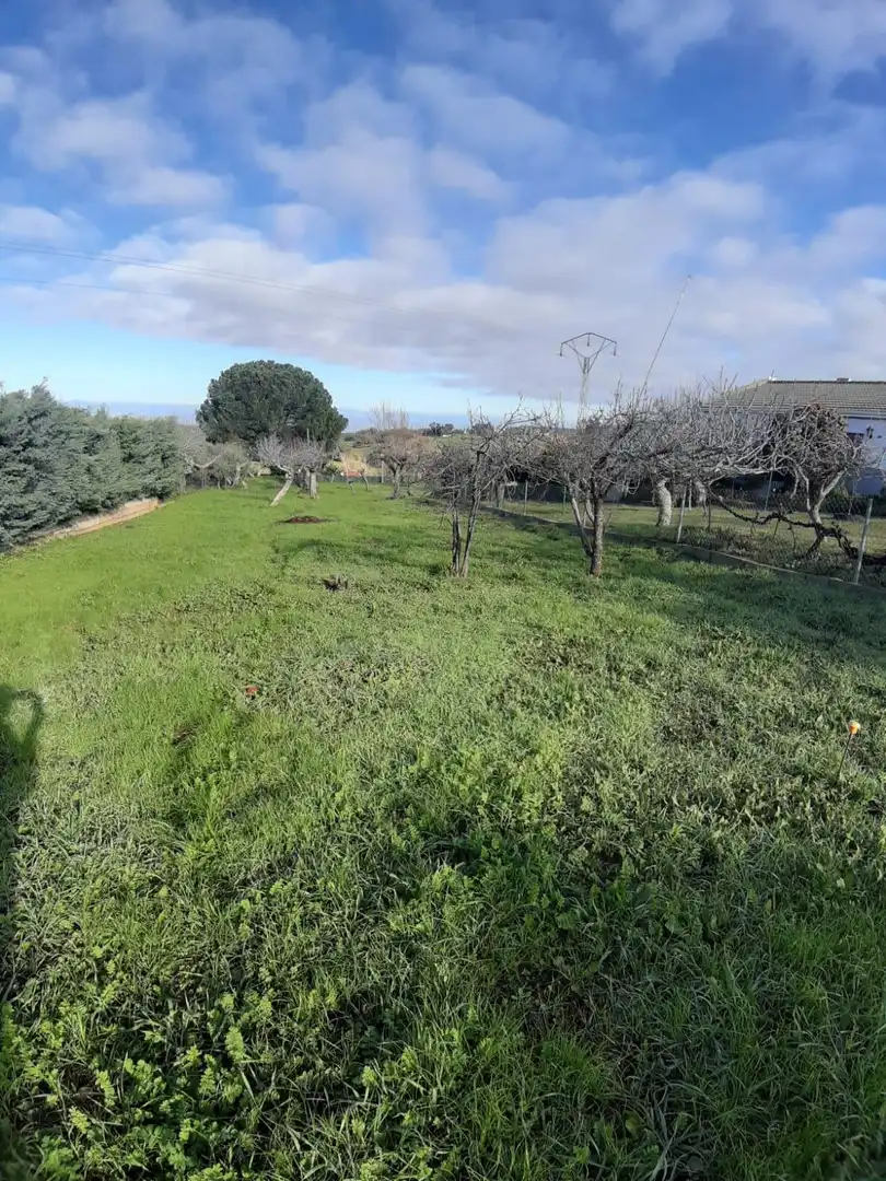 Terreni e lotti in vendita a Cañaveral, imagen 8