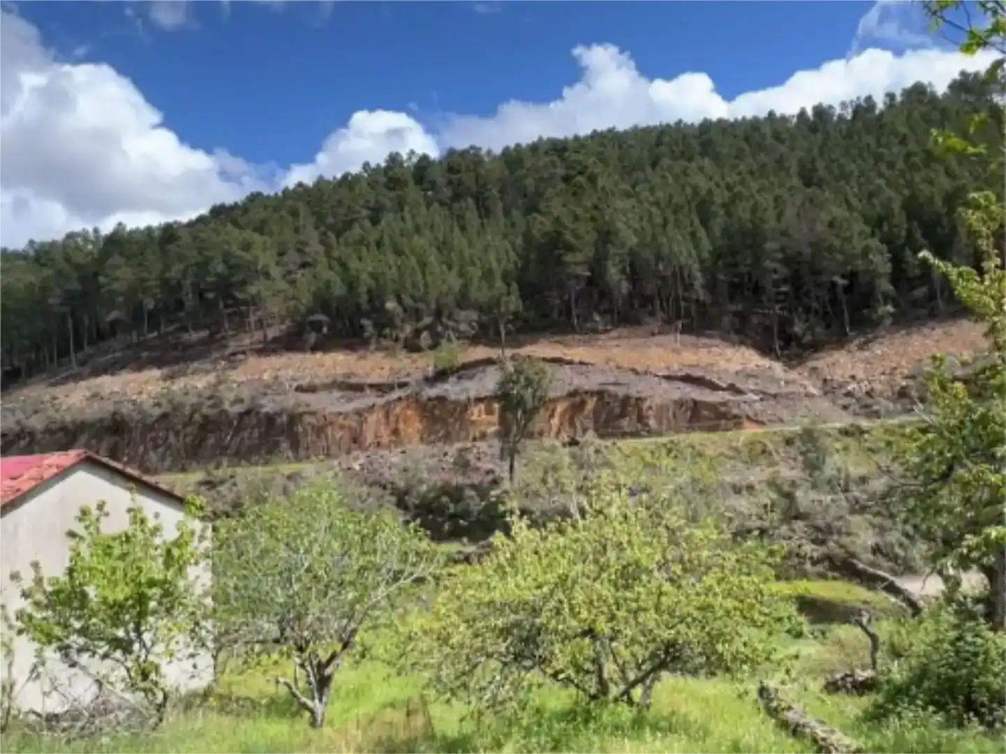 Apartments for sale in Pinofranqueado, Cáceres