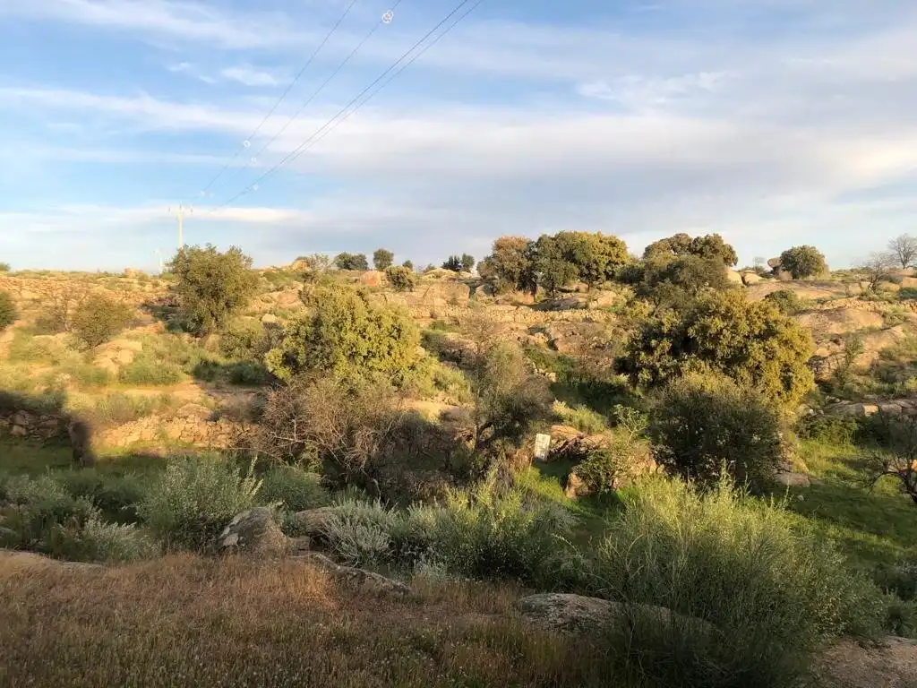 Casa o chalet en venta en Aldea del Cano
