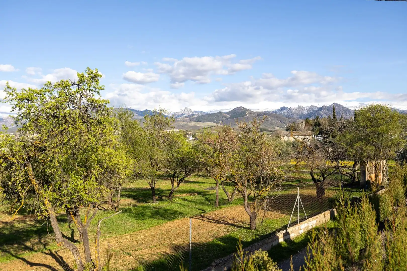 Jardín de Casa o chalet en venta en Villa de Otura