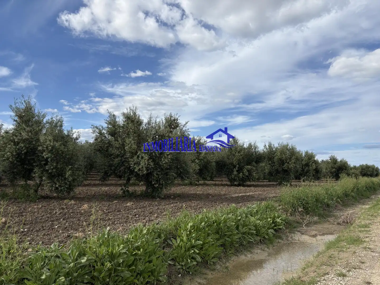 Finca rústica en venda en El Carpio