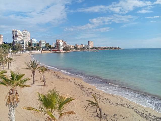 Piso en Venta en Albufereta