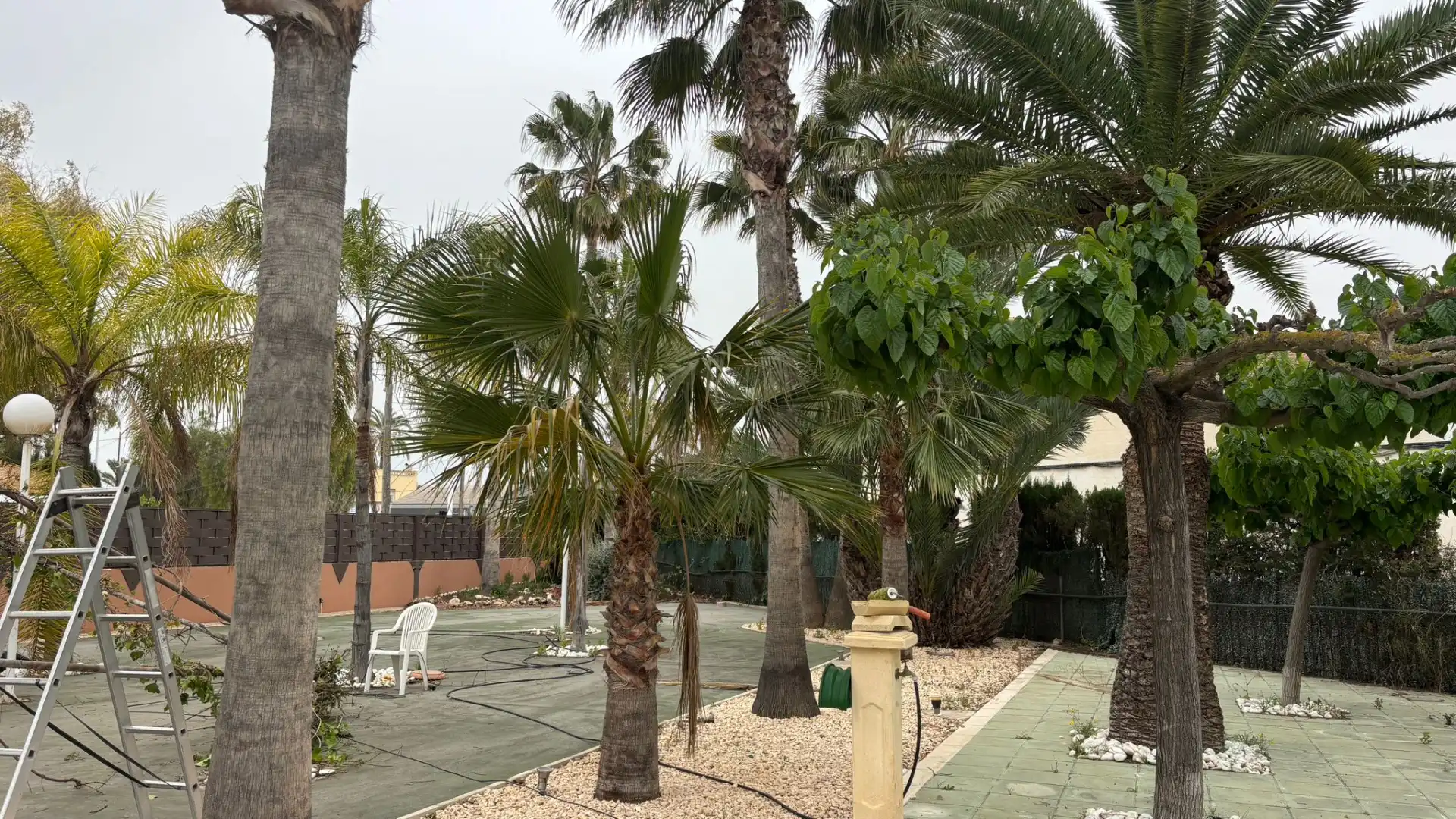Vista exterior de Casa o xalet en venda en Elche / Elx amb Jardí privat, Terrassa i Piscina