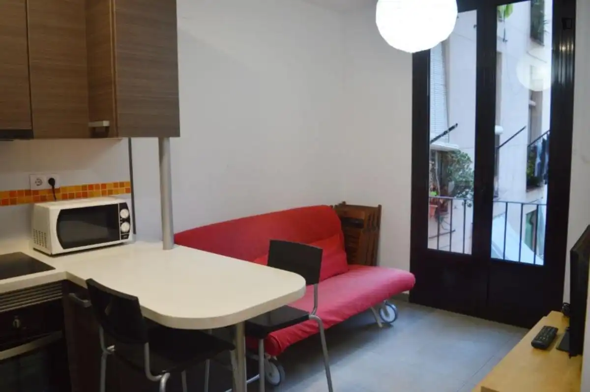 Sala d'estar de Apartament de lloguer en Barcelona amb Moblat, Forn i Rentadora