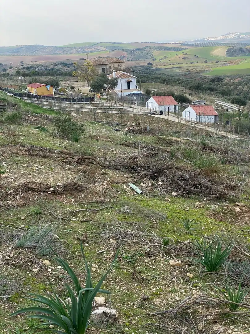 Terreni e lotti in vendita a Osuna, imagen 20