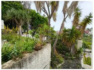 Vista exterior de Casa o xalet en venda en Las Palmas de Gran Canaria amb Jardí privat, Terrassa i Traster