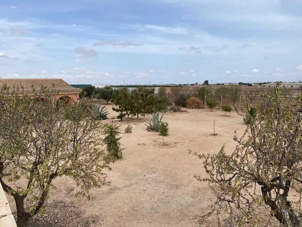 Detached homes for sale in Balsapintada - El Estrecho