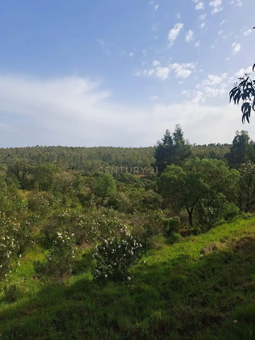 Terreno en venta en Herrera de Alcántara