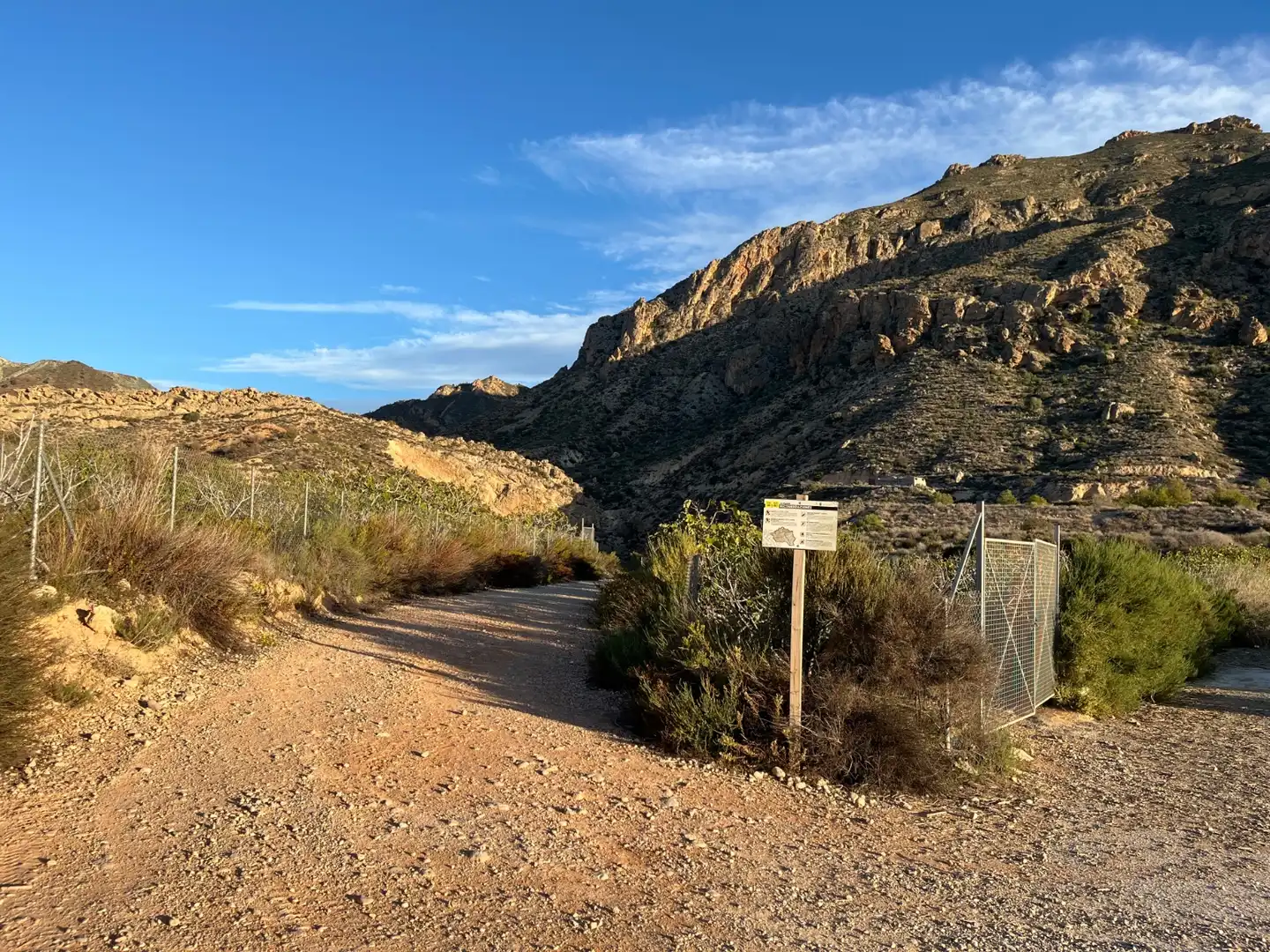 Vista exterior de Casa o xalet en venda en Albatera amb Aire condicionat, Calefacció i Jardí privat